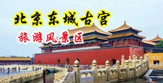 按摩阴道,操大鸡鸡,白浆黄色视频中国北京-东城古宫旅游风景区